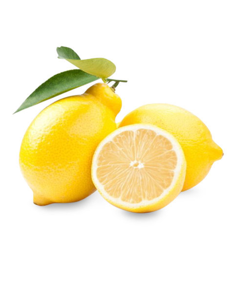 Zitronen » online bestellen | Dallmayr Versand